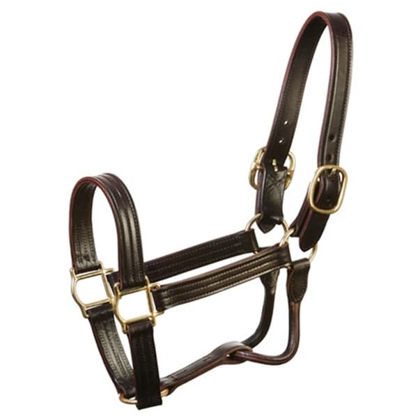 Jacks 112 in Leather Track Halter Horse 5100H - main